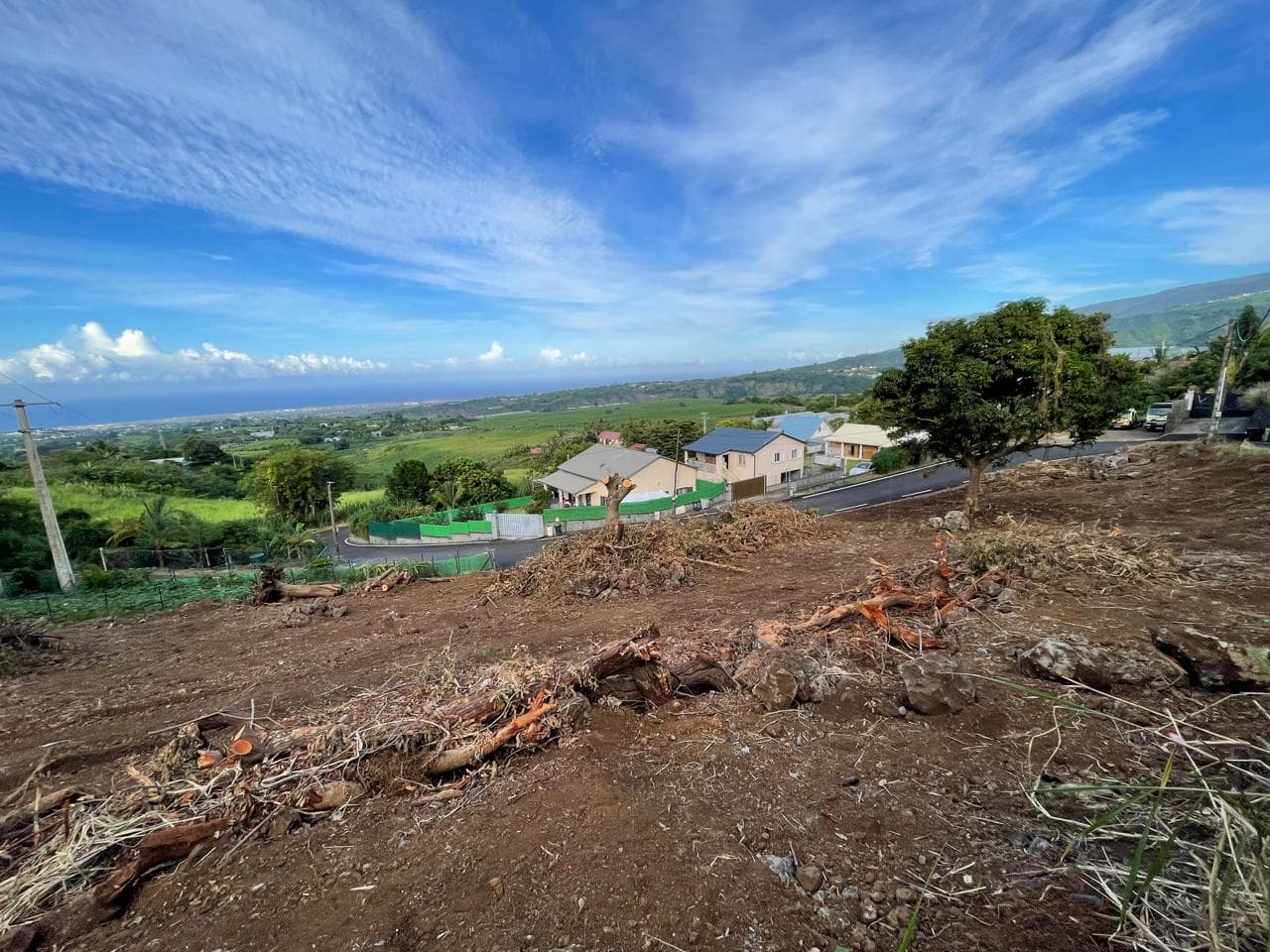 Le Dassy - LOT 4 - 2